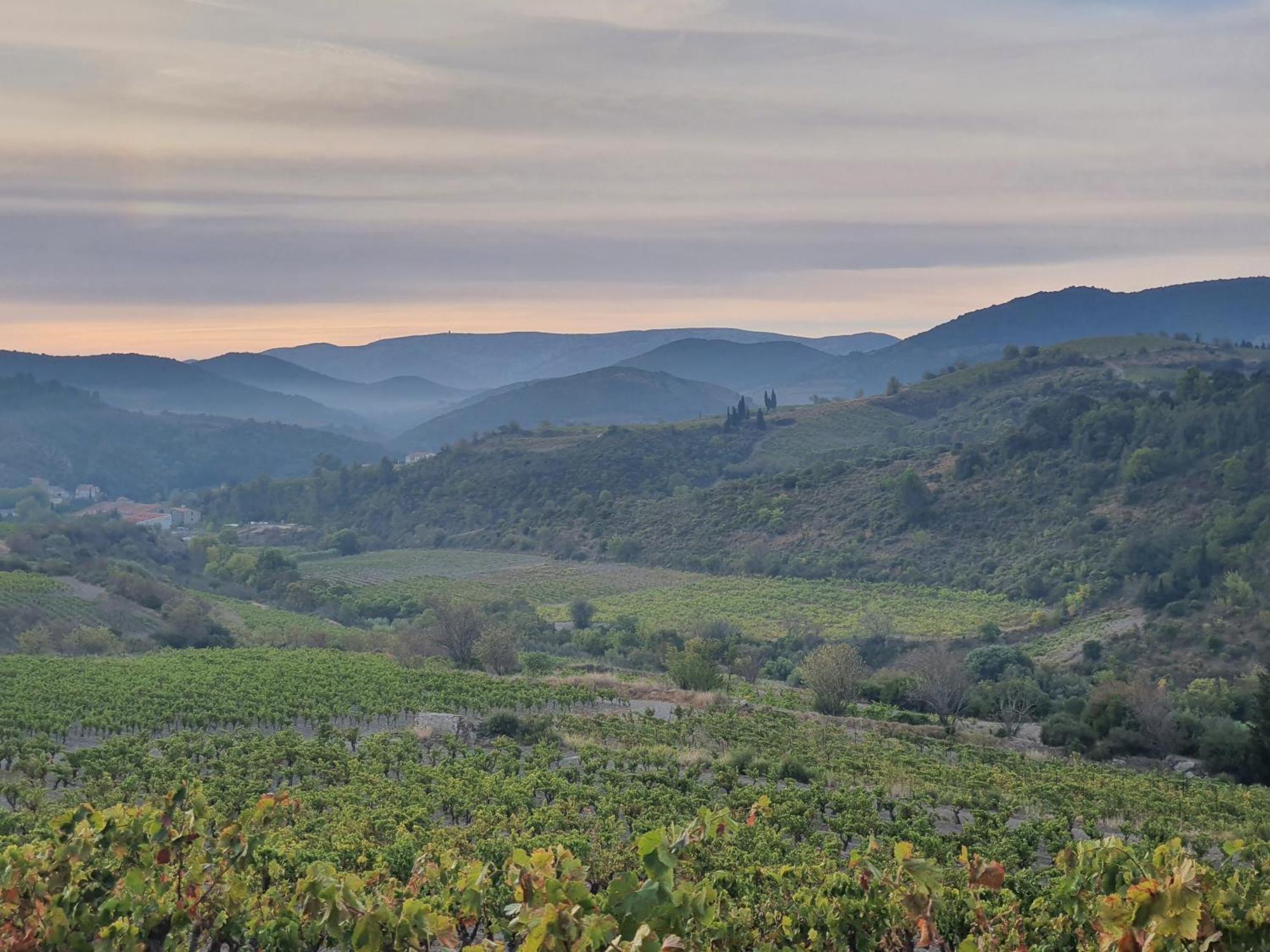 La Barbacane De Cascastel-des-Corbières Exteriér fotografie